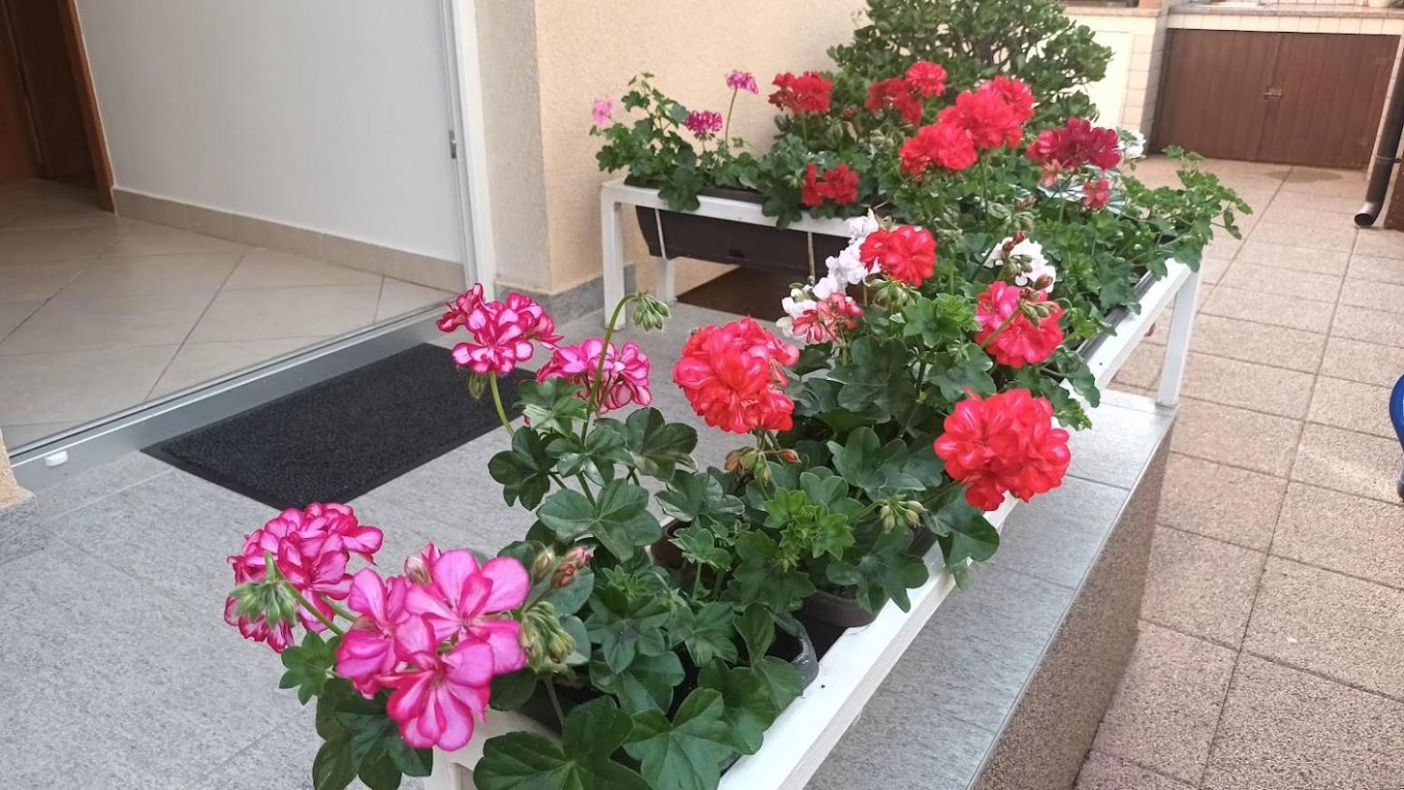 Apartment Marelja - Private Parking And Balcony 자다르 외부 사진